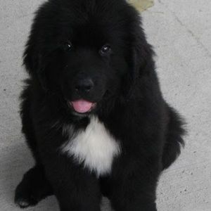 Meet your Posher, Kennedy